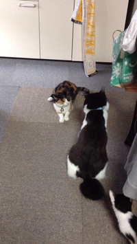 派閥⁈ 2014/01/07 12:53:40
