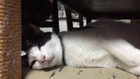 寝顔 2014/12/04 13:01:50