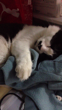 そのままで(*^_^*) 2014/01/20 15:32:57