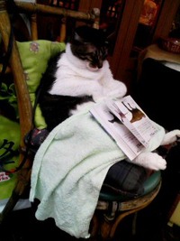 猫 2012/07/22 22:01:04