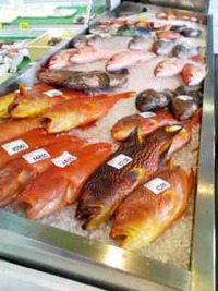 魚屋 2012/08/23 13:27:11