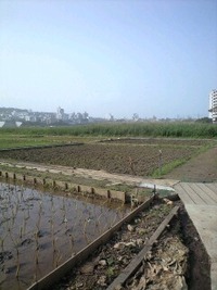 まだまだ 2010/03/23 09:14:29