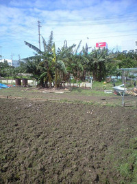 太陽 2010/02/20 12:23:24