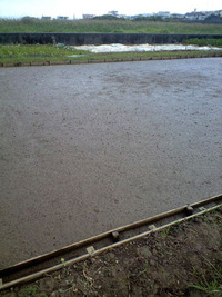 もうすぐ 2010/02/25 10:36:01