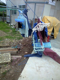 春三番か? 2010/02/26 16:55:09