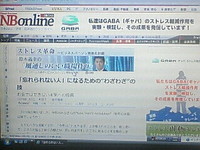 人がもらうと嬉しいのは・・・？ 2009/01/10 03:56:12