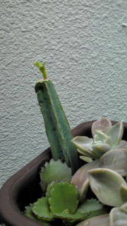 わ〜いo(^o^)o 2010/12/17 16:33:06