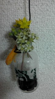 日常 2011/03/15 09:12:41