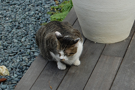 ぽかぽか陽気。