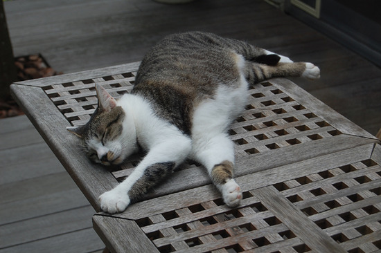 梅雨明け？