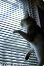 なんちゅ～雨や！！ 2010/11/13 15:39:00
