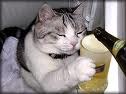こんな寒い時にはテンツーへ～～～～～～～ 2011/01/06 16:46:01