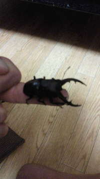 懐かしい 2011/06/28 22:28:59