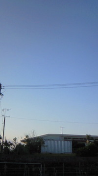 わーい 2011/10/20 07:23:54