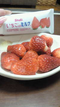 久しぶりのアップ 2012/04/11 20:33:24