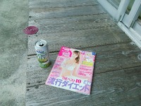 秋だね～ 2012/10/08 18:06:45