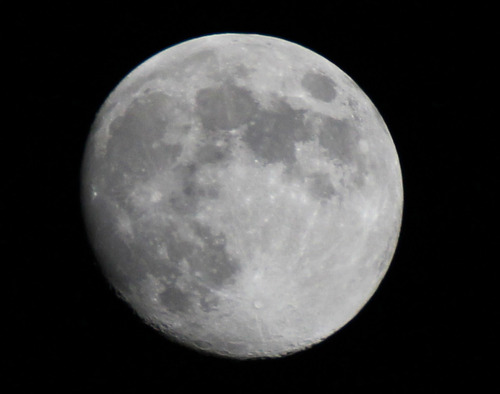 OKINAWA MOON