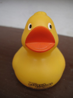 Rubber Ducky