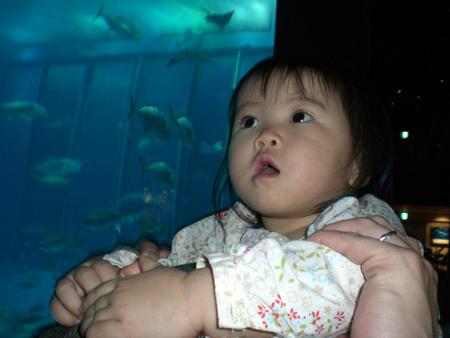 海洋博へ！