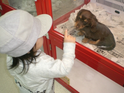動物好き？嫌い？