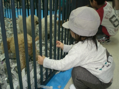 動物好き？嫌い？