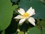 東南植物楽園～～～～！