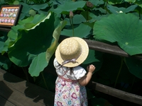 東南植物楽園～～～～！