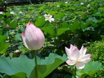 東南植物楽園～～～～！