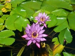 東南植物楽園～～～～！
