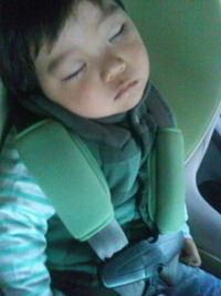 今日は。。 2010/12/26 14:34:38