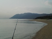 噂に釣られる