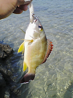 昼の釣り納め