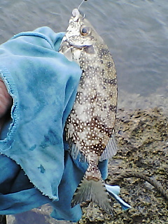 ウキ釣りでのんびり