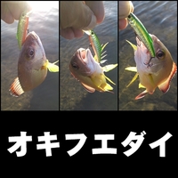 2012年10月19日