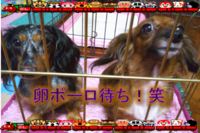 ラブ＆バディ 2011/08/16 11:52:51