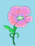 今日は集合研修