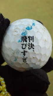 判決、飛びすぎ 2011/06/23 11:54:32