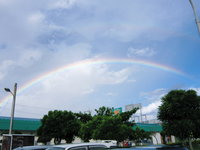 雨の後のご褒美 2011/06/01 20:21:09