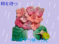 かたつむり 2011/05/15 17:28:44