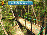 紹介したいサイト