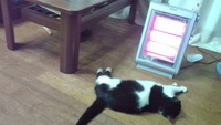 いいとこ取り。。。 2012/02/09 20:45:36