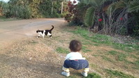 ツレと散歩。。。 2012/02/15 09:35:31