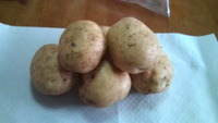 いただきましたo(^o^)o 2012/02/20 12:39:16