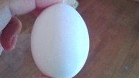今が旬。。。 2012/03/05 09:02:40