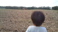 畑。。。 2012/03/06 21:20:25