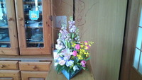 お花。。。 2012/03/09 13:10:25
