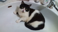 あらら・・。 2012/06/11 14:01:24