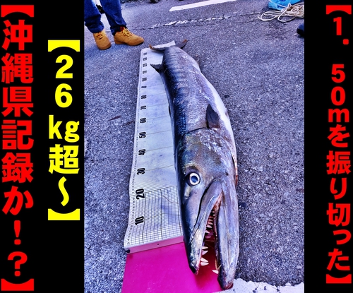 【沖縄県記録級の魚】磯釣り衝撃サイズのカマス・バラクーダ釣り