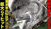 【ＧＴ天国！！沖縄の離島フカセ】置き竿の完全フカセ、ムロアジに巨魚ロウニンアジが釣れてしまった！？