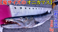 26Kg鬼サイズのオニカマスと沖縄釣り対決！！　※カッパのチャンネルのカメラ撮り